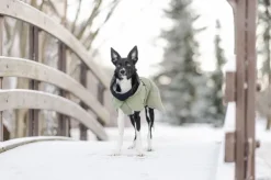 PAIKKA Visibility Winter Jacket talvitakki infrapunakangasvuorilla, 35-50 cm, lila| Talvitakit