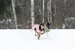 PAIKKA Visibility Winter Jacket talvitakki infrapunakangasvuorilla, 35-50 cm, lila| Talvitakit