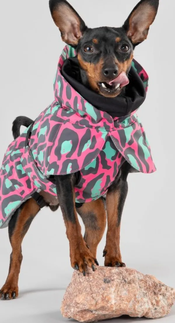 PAIKKA Talvitakit^Visibility Winter Jacket koiran talvitakki, 20-30 cm, Jungle