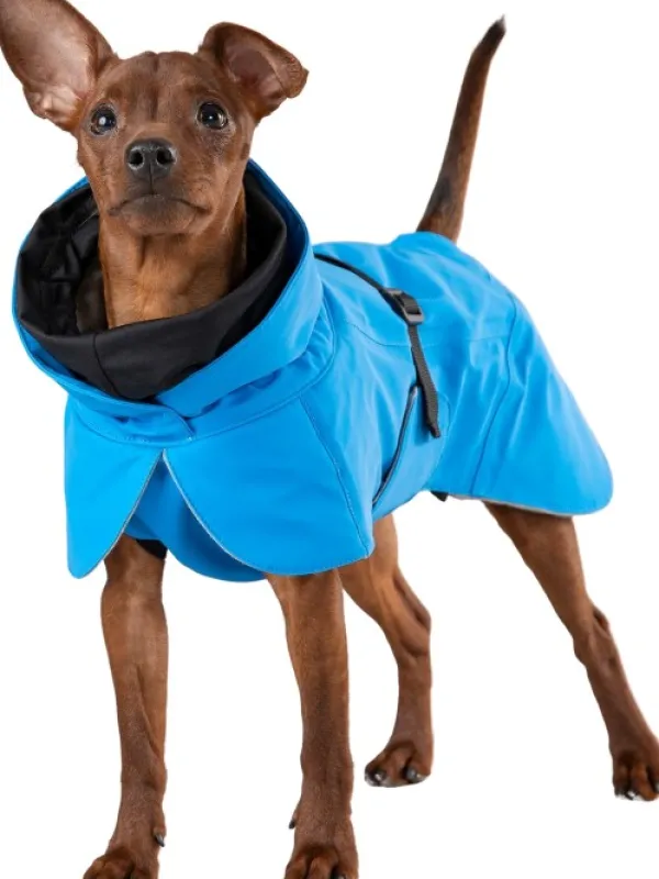 PAIKKA Talvitakit^Visibility Winter Jacket koiran talvitakki, 55-60 cm, Indigo