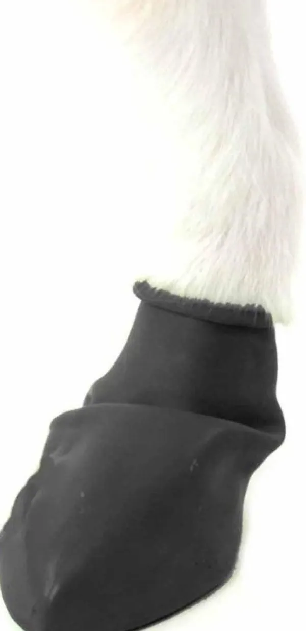 Pawz Dog Boots Black S| Koiran Tossut