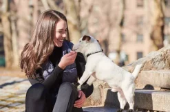 Pawz Dog Boots Black S| Koiran Tossut