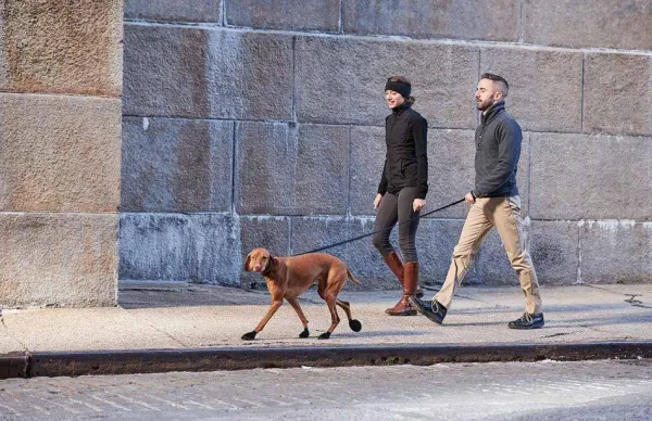 Pawz Dog Boots Color Orange XS| Koiran Tossut