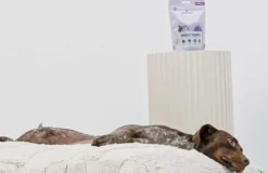 Petgood Makupalat^makupalat koirille, 100 g