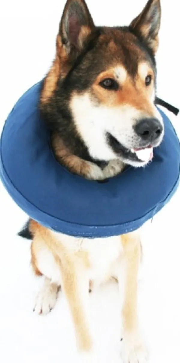 PetNation Päähineet, huivit ja kaulurit/Kaulurit Ja Tuubihuivit^Iho-/haava-/korvasuihke Easy Care 100 ml