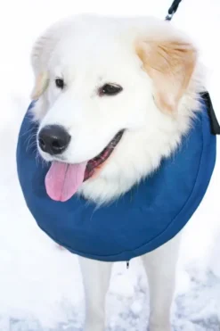 PetNation Päähineet, huivit ja kaulurit/Kaulurit Ja Tuubihuivit^Iho-/haava-/korvasuihke Easy Care 100 ml