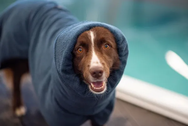 Pomppa Kuivausloimet^Bath Midnight 60-65 cm