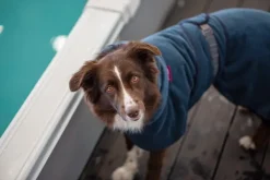 Pomppa Kuivausloimet^Bath Midnight 44-48 cm