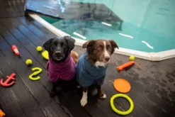 Pomppa Bath Midnight 31-34 cm| Kuivausloimet