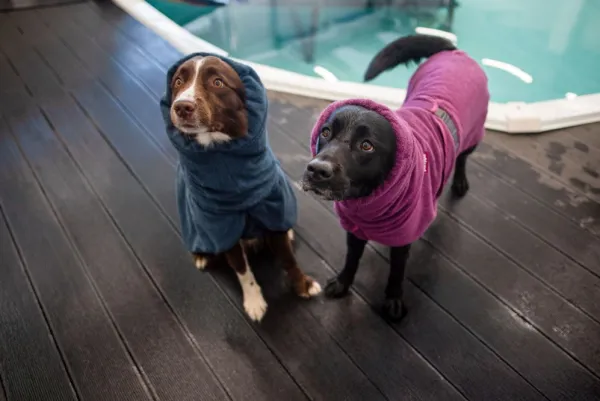 Pomppa Bath Plum 31-34 cm| Kuivausloimet