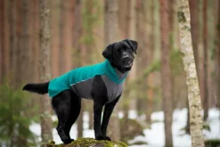 Pomppa Jumppa koirantakki, 60-65 cm, Forest| Fleecetakit