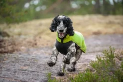 Pomppa Jumppa koiran fleecetakki, 52 - 56 cm, Lime| Fleecetakit