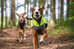 Pomppa Jumppa koiran fleecetakki, 52 - 56 cm, Lime| Fleecetakit