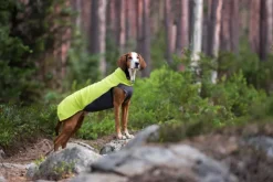 Pomppa Jumppa koiran fleecetakki, 52 - 56 cm, Lime| Fleecetakit