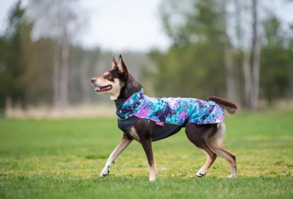 Pomppa Jumppa koiran fleecetakki, 31 - 34 cm, Aurora| Fleecetakit