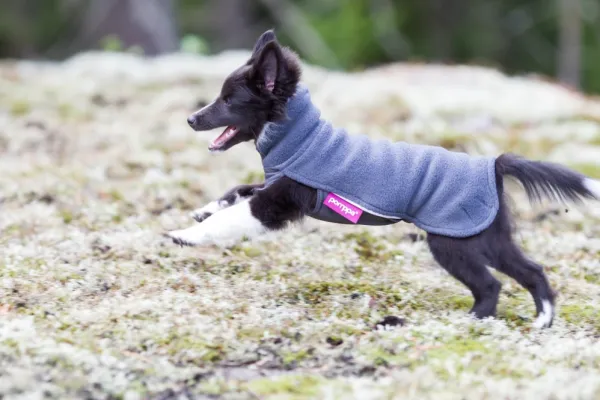 Pomppa Jumppa koiran fleecetakki, 31 - 34 cm cm, harmaa| Fleecetakit