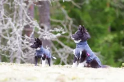 Pomppa Jumppa koiran fleecetakki, 31 - 34 cm cm, harmaa| Fleecetakit