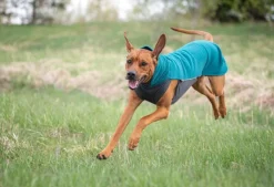 Pomppa Fleecetakit^Jumppa koirantakki, 37-40 cm, Forest