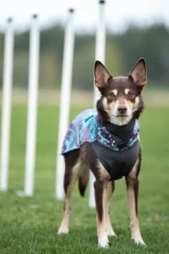 Pomppa Jumppa koiran fleecetakki, 44 - 48 cm, Aurora| Fleecetakit