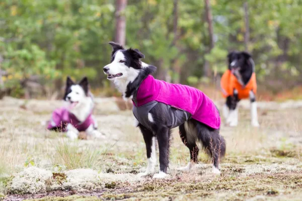 Pomppa Fleecetakit^Jumppa koiran fleecetakki, 31 - 34 cm, punavioletti