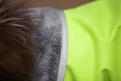 Pomppa Sadetakit^Kevyt koiran välikausitakki, 37 - 40 cm, Lime