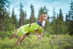 Pomppa Sadetakit^Kevyt koiran välikausitakki, 25 - 28 cm, Lime