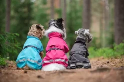 Pomppa Sadetakit^Kuori koiran sadetakki, 31-34 cm, Graphite