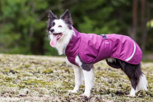 Pomppa Perus koirantakki, 44-48 cm, Plum| Talvitakit