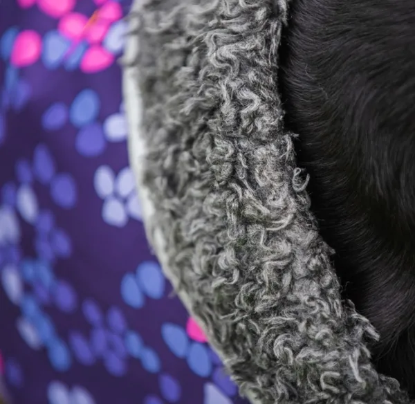 Pomppa Perus koirien talvitakki, 44 - 48 cm, Cosmos| Talvitakit