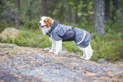 Pomppa Perus koirien talvitakki, 44 - 48 cm, harmaa| Talvitakit