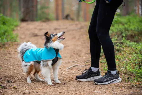 Pomppa Fleecetakit^Sportti koirantakki, 37-40 cm, Arctic