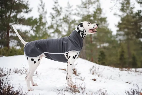 Pomppa Sportti koirantakki, 44-48 cm, Graphite| Fleecetakit