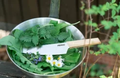 Primus Ruoanlaitto^Campfire Bowl kulho + kansi