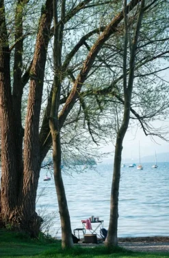 Primus Campfire Table| Retkituolit, -pöydät Ja Istuinalustat