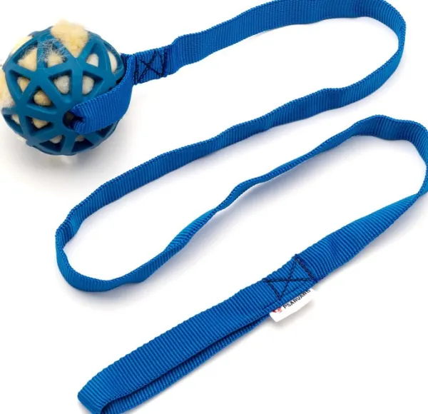 Psarvard Azur sininen koiranlelu| Noutolelut