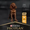 Purina Koiran Kuivaruoka^PRO PLAN Large Athletic Puppy HEALTHY START 12kg