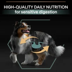 Purina Koiran Kuivaruoka^PRO PLAN Medium Adult Sensitive Digestion Lamm 14 kg