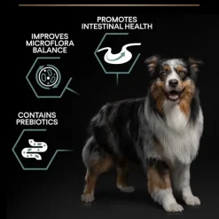 Purina Koiran Kuivaruoka^PRO PLAN Medium Adult Sensitive Digestion Lamm 14 kg