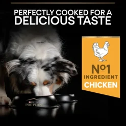 Purina Koiran Kuivaruoka^PRO PLAN Medium Adult Everyday Nutrition 14 kg