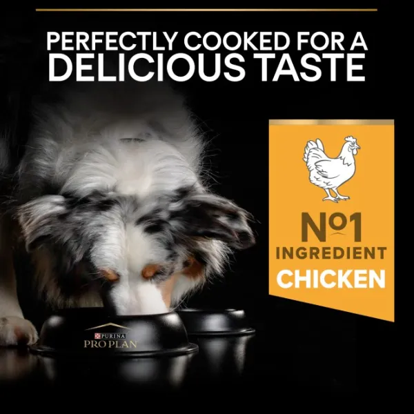 Purina Koiran Kuivaruoka^PRO PLAN Medium Adult Everyday Nutrition 14 kg