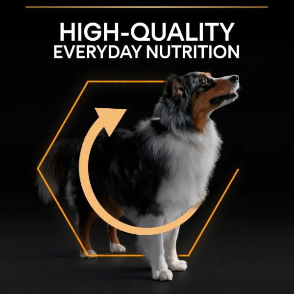 Purina Koiran Kuivaruoka^PRO PLAN Medium Adult Everyday Nutrition 14 kg