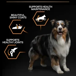 Purina Koiran Kuivaruoka^PRO PLAN Medium Adult Everyday Nutrition 14 kg