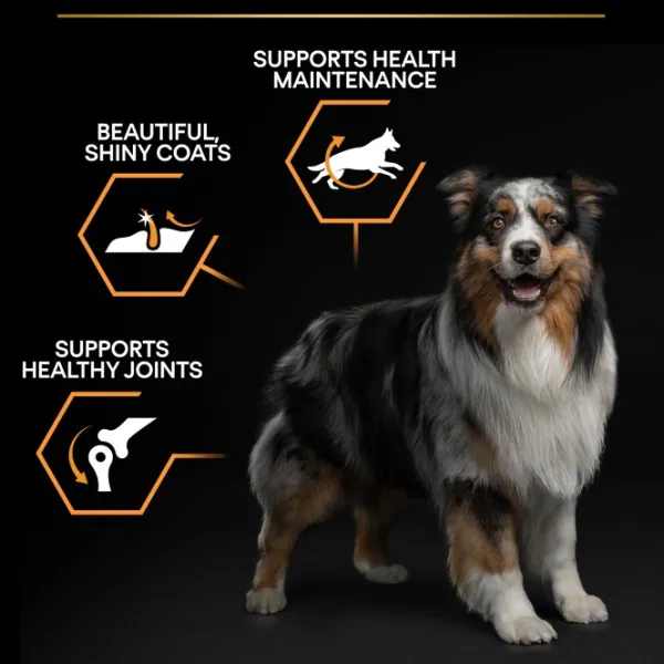 Purina Koiran Kuivaruoka^PRO PLAN Medium Adult Everyday Nutrition 14 kg