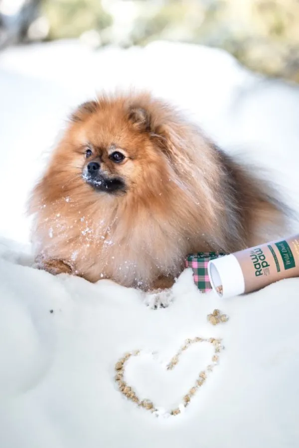 Raw for Paw Wild Duck makupalat| Makupalat