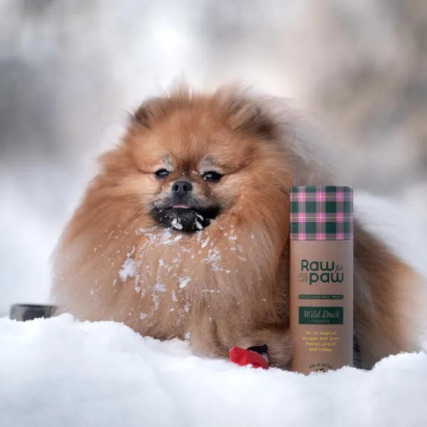 Raw for Paw Wild Duck makupalat| Makupalat