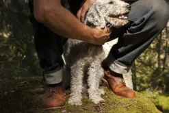 Red Wing Shoes Ulkoilukengät^Red Wing Blacksmith kengät, Copper Rough & Tough