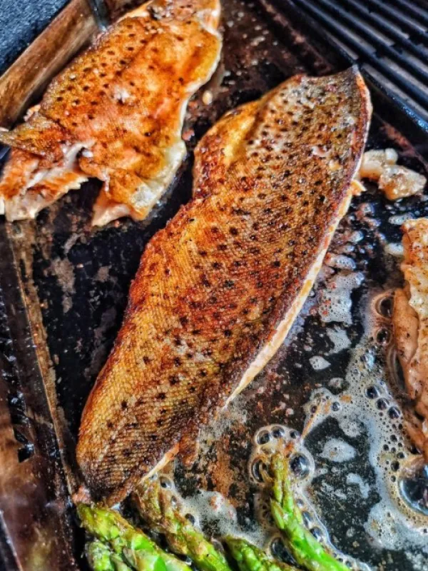 Royal Steel Ruoanlaitto ja grillaus/Paistolevyt Ja Paistipannut^Villahällen 55 paistolevy