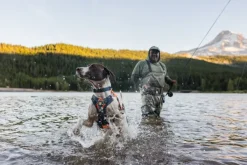 RuffWear Brush Guard lisäsuoja, tummanharmaa| Koiran Reput