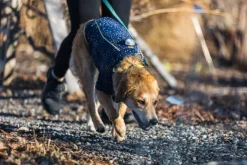 RuffWear Climate Changer Jacket koiran fleecetakki, Galaxy| Fleecetakit