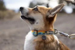 RuffWear Crag Collar koiran kaulapanta, Rising Wave| Kaulapannat